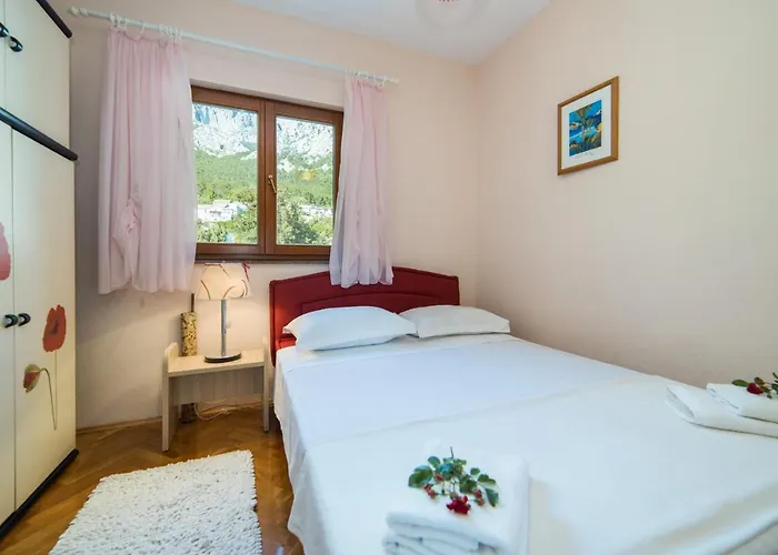 Biokovo Apartamento *